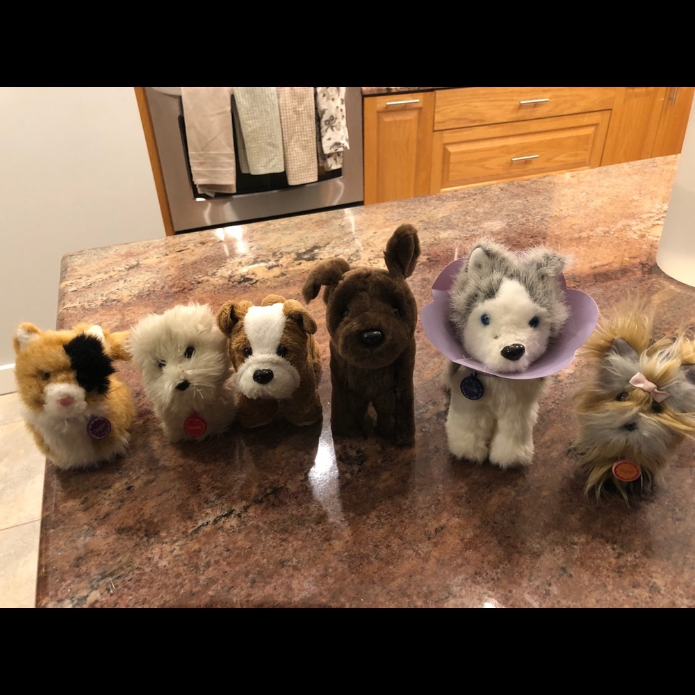 COPY - American Girl Doll Pets!
